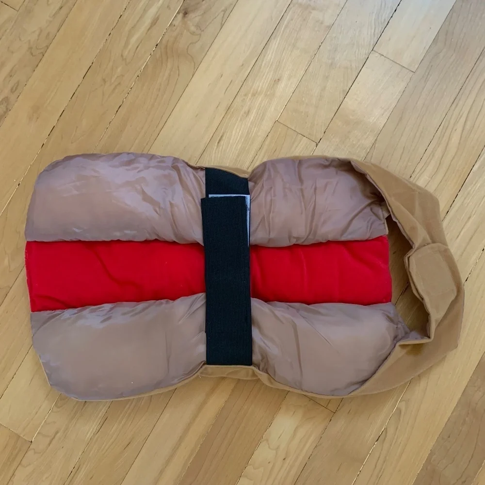 Medium Hot Dog Halloween Costume - Like New